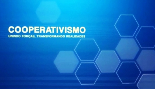 A série de reportagens apresenta exemplos de sucesso no cooperativismo