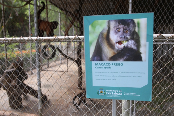 Local conta com 152 animais de 47 espécies