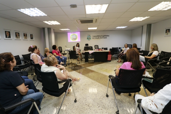 Encontro do curso "Em Rodas de Biblioterapia" ocorreu no Comitê de Imprensa da Casa