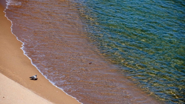 Dia dos Oceanos é celebrado anualmente no dia 8 de junho 