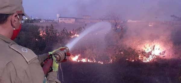 Estudos mostram que 70% da vegetação cearense apresentam risco de incêndios