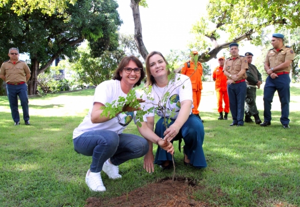 Primeira-dama da Assembleia, Cristiane Leitão, durante o plantio