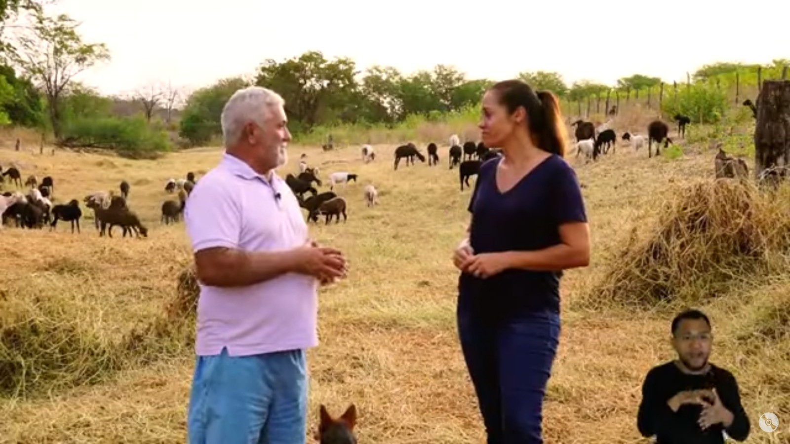 Reportagem “Cabras e Carneiros – A moeda que movimenta Tauá” é finalista no prêmio